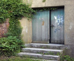 Eine alte Tür mit Farbklecksen, die zur Synagoge führt. Die umgebende Wand ist mit Efeu bewachsen.